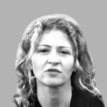 Dr. Öğr. Üyesi Banu  Özkazanç