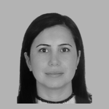 Faculty Member, PhD Meryem Erceylan