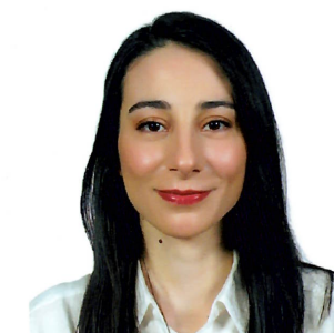 Özlem ERGÜN