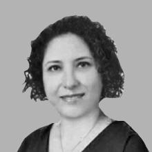 Denizhan Karış