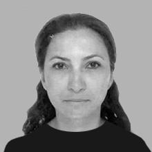 Hülya Yücel